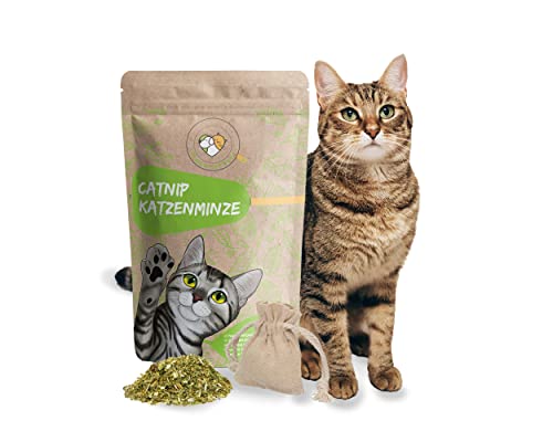 Haustierherz Echte Katzenminze Mit Befüllbarem Säckchen, Katzenspielzeug Selbstbeschäftigung, Catnip, 100 g Aus Deutschland, Auffüllen Von Katzenspielzeug Katzen Kissen Catnip Ball Haustierherz Echte Katzenminze Mit Befüllbarem Säckchen, Katzenspielzeug Selbstbeschäftigung, Catnip, 100 g Aus Deutschland, Auffüllen Von Katzenspielzeug Katzen Kissen Catnip Ball von Haustierherz