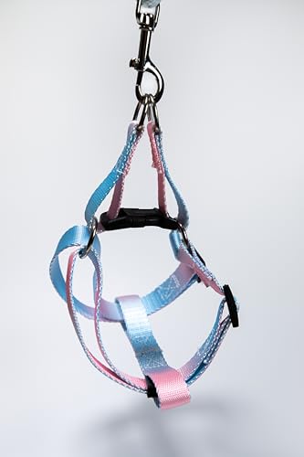 HAUTICO X MOCHAAAA Hundegeschirr, verstellbar, Farbverlauf, Rosa / Blau HAUTICO X MOCHAAAA Hundegeschirr, verstellbar, Farbverlauf, Rosa / Blau von Hautico
