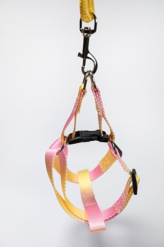 HAUTICO X MOCHAAAA Hundegeschirr, verstellbar, mit Farbverlauf, Rosa / Orange HAUTICO X MOCHAAAA Hundegeschirr, verstellbar, mit Farbverlauf, Rosa / Orange von Hautico