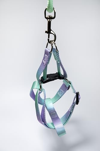 HAUTICO X MOCHAAAA Hundegeschirr mit Farbverlauf, verstellbar, Violett-Grün HAUTICO X MOCHAAAA Hundegeschirr mit Farbverlauf, verstellbar, Violett-Grün von Hautico