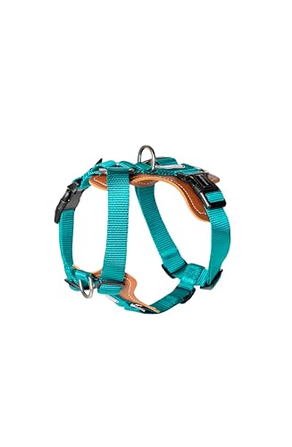 Hundegeschirr aus Nylon, veganes Leder, verstellbar, H-Form (Hellblau, L) von Hautico