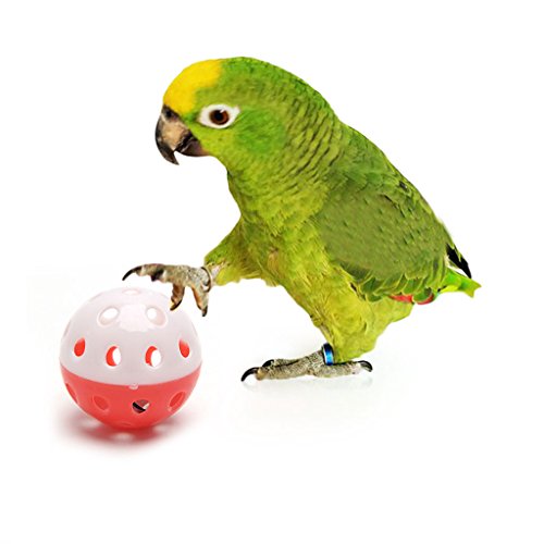 Haven shop Papageienspielzeug, für Papageien, Aras, Graupapageien, Kakadus, hohle Glocke, Ball für Sittiche, Nymphensittiche, Kauspielzeug, 1 Stück von Haven shop