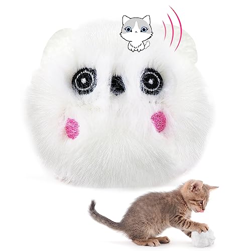 3 Katzenspielzeug Mit Katzenminze, Interaktives Katzenball mit Ton, Für Katze Zum Spielen (Weiß) von Havenfly