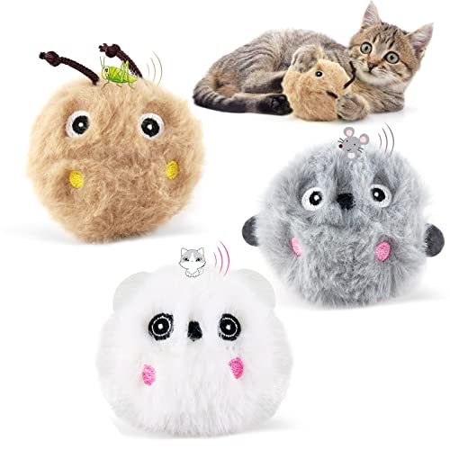 3 Stück Katzenspielzeug mit Katzenminze, Interaktives Katzenball Elektrisch mit Ton, Cat Toy für Katze Übung von Havenfly