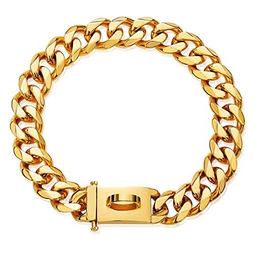 Gold Hundehalsband Halskette,verstellbar 18 Karat Starkes Edelstahl Metall Links Slip Chain Halsband für kleine mittelgroße Hunde (B, S) 16‘’ von Havenfly