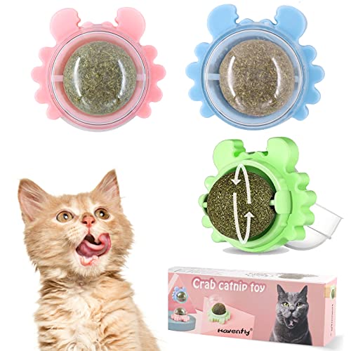 Havenfly 3er-Pack 360° Drehbare Katzenminze Bälle mit Deckel, Katzen Wand-Leckerli, Interaktives Katzenspielzeug, Effektiv zum Reinigen der Zähne und zur Verbesserung der Katzenerregung Havenfly 3er-Pack 360° Drehbare Katzenminze Bälle mit Deckel, Katzen Wand-Leckerli, Interaktives Katzenspielzeug, Effektiv zum Reinigen der Zähne und zur Verbesserung der Katzenerregung von Havenfly
