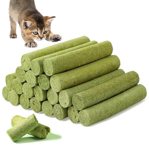 Katzengras Snack, 100g Katzengras Sticks Gefriergetrocknet Snacks für Katzen für die Zahnpflege und Haarknäuel Entfernen, Katzenminze, Cat Grass Stick Katzengras Snack, 100g Katzengras Sticks Gefriergetrocknet Snacks für Katzen für die Zahnpflege und Haarknäuel Entfernen, Katzenminze, Cat Grass Stick von Havenfly