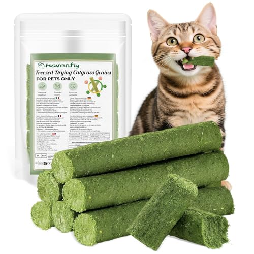 Katzengras Snack, 30g Gefriergetrocknet Snacks für Katzen für die Zahnpflege und Haarknäuel Entfernen, Katzenminze Katzengras Snack, 30g Gefriergetrocknet Snacks für Katzen für die Zahnpflege und Haarknäuel Entfernen, Katzenminze von Havenfly