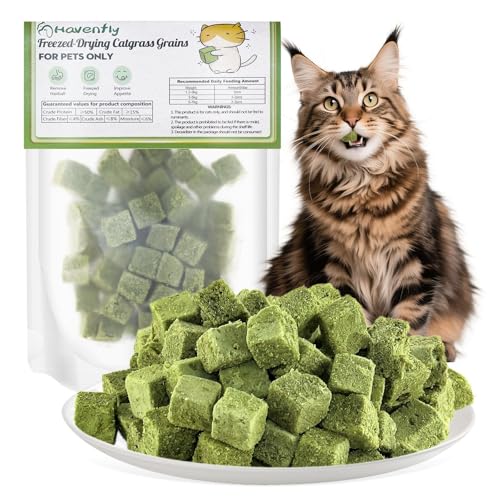 Katzengras Snack, 30g Katzengras Sticks Gefriergetrocknet Snacks für Katzen für die Zahnpflege und Haarknäuel Entfernen, Katzenminze von Havenfly