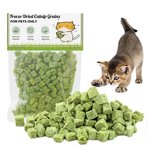 Katzengras Snack, 60g Gefriergetrocknet Snacks für Katzen für die Zahnpflege und Haarknäuel Entfernen, Katzenminze von Havenfly