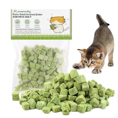 Katzengras Snack, 60g Gefriergetrocknet Snacks für Katzen für die Zahnpflege und Haarknäuel Entfernen, Katzenminze von Havenfly