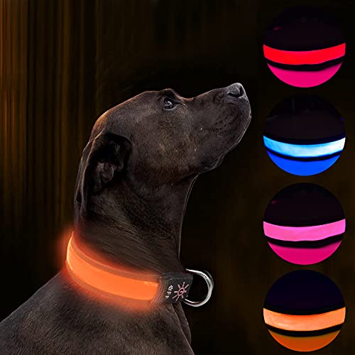 LED Hundehalsband Leuchtend Hundehalsband USB Wiederaufladbar Wasserdicht,Nacht Hundeband mit 3 leuchtenden Modi,Macht Ihren Hund sichtbar,sicher und gesehen (orange, L) von Havenfly