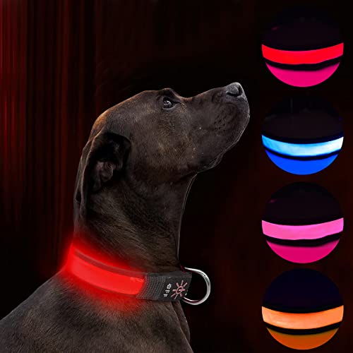 LED Hundehalsband Leuchtend Hundehalsband USB Wiederaufladbar Wasserdicht,Nacht Hundeband mit 3 leuchtenden Modi,Macht Ihren Hund sichtbar,sicher und gesehen (red, M) von Havenfly