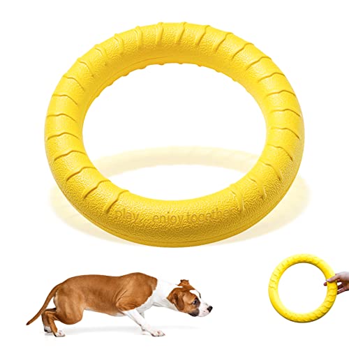 Naturkautschuk Ring Hund kauen Spielzeug, schwimmende Hund Ring Spielzeug für Outdoor-Fitness schwimmende Ziehen Spielzeug und Flying Disc, unzerstörbar Hundespielzeug für Aggressive Kauende (L) von Havenfly