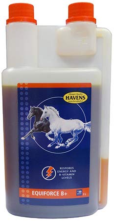 Havens Equiforce B+ Liquid 1ltr. von Havens