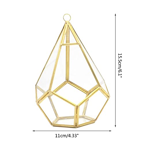 Haveratio Goldene Wand, geometrisches Terrarium, Innenöffnung, Polyeder, Tischplatte, Fensterbank, Balkon, Pflanzenhalter, Topf, Behälter, Dekoration, Golden von Haveratio