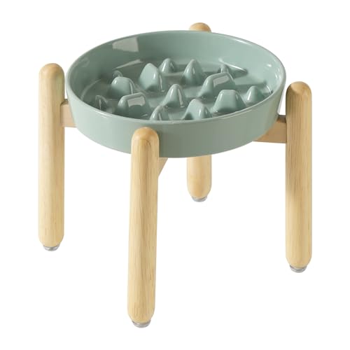Havniva 24,1 cm Keramik-Hundeset, erhöhter Futternapf mit Holzständer für große Hunde, langsamer Futternapf für schnelle Ostern, stoppt Blähungen (Hellgrün, Einzelnapf + Ständer) von Havniva