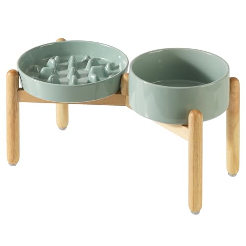 Havniva Erhöhter Futternapf aus Keramik, erhöhter 20,8 cm großer Napf und 24,1 cm langsamer Futternapf mit Holzständer für große Hunde (2 x hellgrün + Ständer) von Havniva