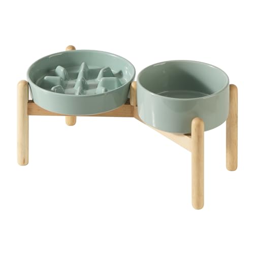 Havniva Erhöhter Futternapf aus Keramik, erhöhter Futternapf, 15,5 cm Schüssel und 18,5 cm langsamer Futternapf mit Holzständer für kleine und mittelgroße Hunde (2 x hellgrün + Ständer) von Havniva