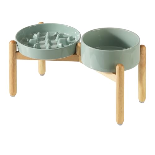 Havniva Erhöhter Futternapf aus Keramik, erhöhter Futternapf, 18,5 cm und 20,8 cm langsamer Futternapf mit Holzständer für mittelgroße und große Hunde (2 x hellgrün + Ständer) von Havniva