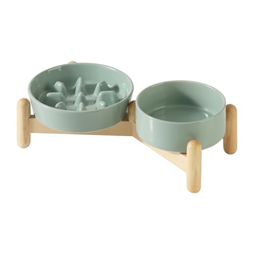 Havniva Erhöhter Futternapf aus Keramik, erhöhter Futternapf für langsames Fressen, erhöhter 13 cm Napf und 15,5 cm langsamer Futternapf mit Holzständer für kleine Hunde und Katzen (2 x hellgrün + von Havniva