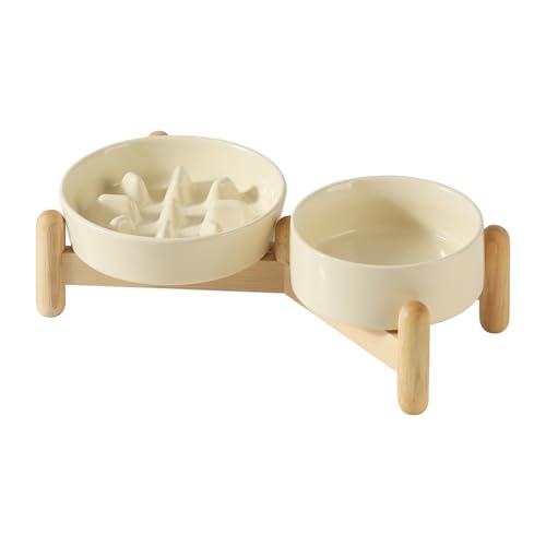 Havniva Erhöhter Futternapf aus Keramik, erhöhter Futternapf für langsames Fressen, erhöhter 13 cm Napf und 15,5 cm langsamer Futternapf mit Holzständer für kleine Hunde und Katzen (2 x beige + von Havniva