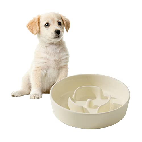 Havniva Futternapf für kleine Hunde, aus Keramik, langsames Fressnapf für kleine Hunde, langsames Fressnapf, langsames Trinken, stoppt Blähen, verhindert Würgen (1 x Cremeweiß, 15.5cm) von Havniva
