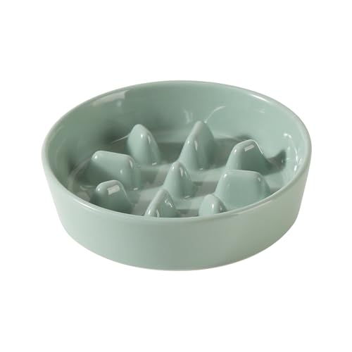 Havniva Futternapf für kleine Hunde und Katzen, 15,5 cm, langsames Fressnapf für kleine Hunde und Katzen, verhindert Ersticken (Einzelnapf, Beige) von Havniva