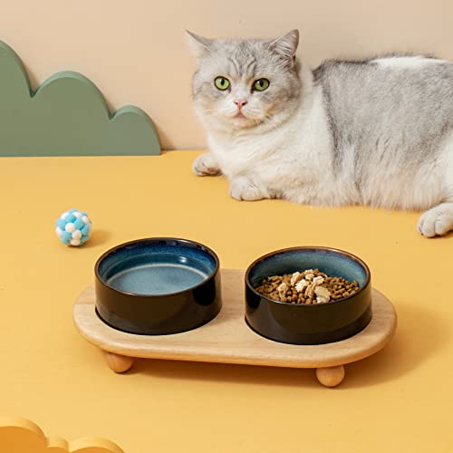 Havniva Keramiknapf für Katze, Katzenfutter und Wassernapf, Katzennapf (2 x Sternenhimmel + Ständer) von Havniva
