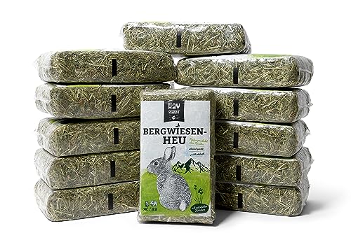 Hayrabbit - Bergwiesenheu 12kg - Heu Aus Deutschen Gründlandregionen - Abgepackt In 1kg Beuteln von Hayrabbit