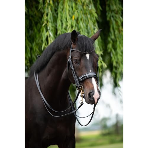 Hb Kandare Showtime Special for You Schwarz-Schwarz - Full/WB Hb Kandare Showtime Special for You Schwarz-Schwarz - Full/WB von Epplejeck