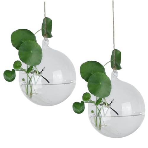 2pcs 3, 9 ″ Clear Hanging Glass Pflanzer mit Seil, hitzebeständige runde Wand-Vase-Terrarium-Globus für Sukkulenten, Luftpflanzen, Haus- und Bürodekoration von Hbbgdiy