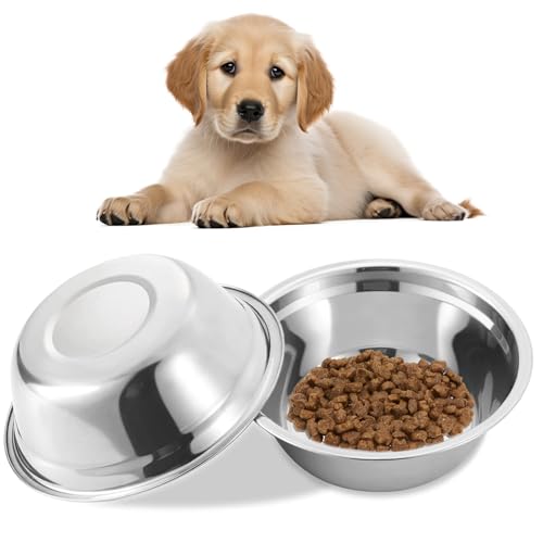 Edelstahlhundschüsseln, 2pcs 8 Zoll Spiegeloberfläche Easy Wäsche Hundefutterschale für Wasser/Leckerei/Fleisch zu Hause Edelstahlwasserschale, Lebensmittel, Metallschalen Edelstahlhundschüsseln, 2pcs 8 Zoll Spiegeloberfläche Easy Wäsche Hundefutterschale für Wasser/Leckerei/Fleisch zu Hause Edelstahlwasserschale, Lebensmittel, Metallschalen von Hbbgdiy