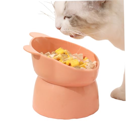 Erhöhte Katzenschalen 5x4, 5 Zoll Bären Design 35 ° schäbige erhöhte Katzenschüssel stetig leichtes Waschhund -Feeder für Zuhause Erhöhte Katzenschalen 5x4, 5 Zoll Bären Design 35 ° schäbige erhöhte Katzenschüssel stetig leichtes Waschhund -Feeder für Zuhause von Hbbgdiy