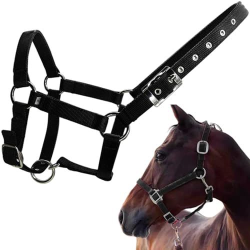 Halfter für Pferde einstellbar 1 breites PP -Gurtbett -Pferdhalholter mit Metallhardware Weichhochter für das Training, Schwarze Farbe m von Hbbgdiy