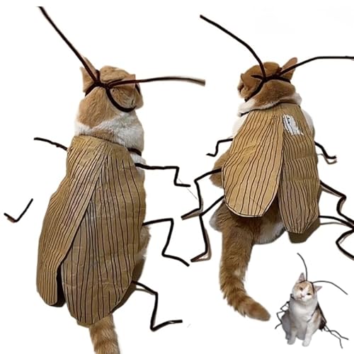Hbbgdiy 2 Sets Katzen Halloween Kostüme Material Kit, DIY Funny Dog Cockroach Kostüm Kit, Katzen -Outfit für Halloween -Party -Cosplay -Dekor von Hbbgdiy