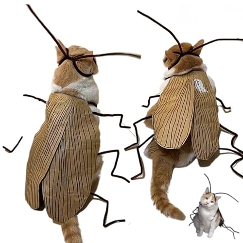 Hbbgdiy Cat Halloween Kostüme Material Kit, DIY Funny Dog Cockroach Kostümkit, 2 Sets Katzen -Outfit für Halloween Party Cosplay Decor von Hbbgdiy