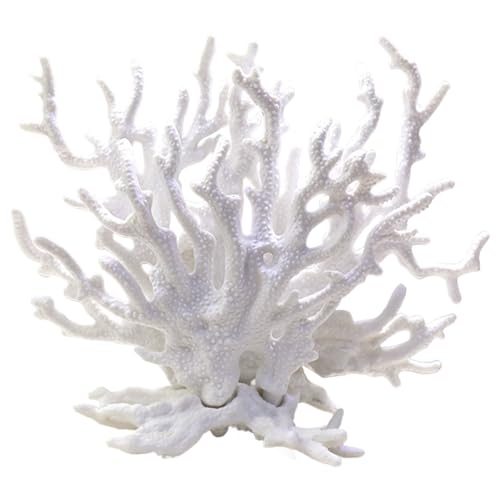 Hbbgdiy Korallenriffdekor, 6, 3x2, 4x5, 3 Zoll Harz gefälschte Koralle, simuliertes gefälschtes Baum weiße Aquariumdekoration für Fischtanklandschaft Hbbgdiy Korallenriffdekor, 6, 3x2, 4x5, 3 Zoll Harz gefälschte Koralle, simuliertes gefälschtes Baum weiße Aquariumdekoration für Fischtanklandschaft von Hbbgdiy