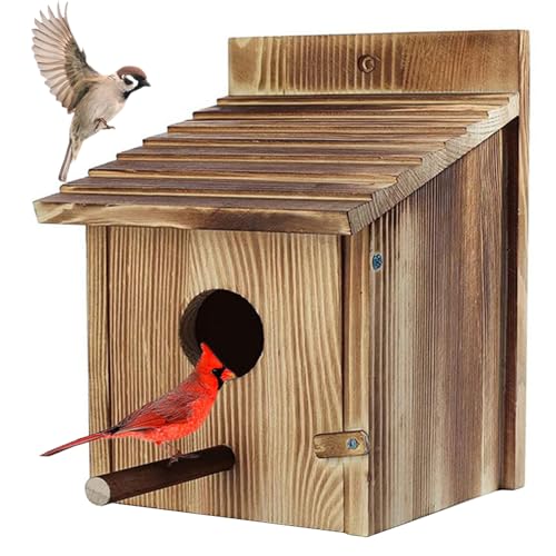 Hbbgdiy Hölzerne Vogelhäuser für außen, Bluebird -Häuser für Außen Hbbgdiy Hölzerne Vogelhäuser für außen, Bluebird -Häuser für Außen von Hbbgdiy
