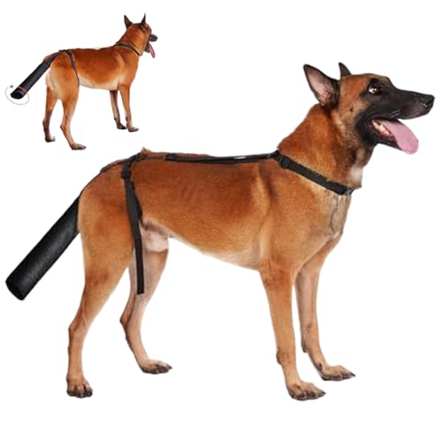 Hundeschwanzschutz Anti-Lick-Schutzhund-Schwanzabdeckung für Wunden mit offenem Ende Oxford-Stoff-Wundabdeckung Anti-Licking-Biss-Protektor PET, Schwarz, L. von Hbbgdiy