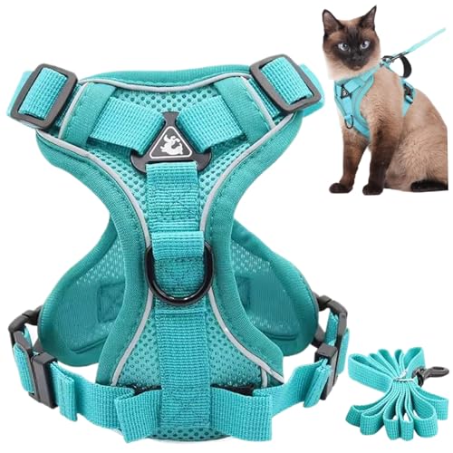 Katzenkabelbaum und Leine mit reflektierenden Streifen entkommen beweisbar verstellbar, atmungsaktives, weiches Hundewestekabelbaum mit Leinen -Set für Gehen im Freien Katzenkabelbaum und Leine mit reflektierenden Streifen entkommen beweisbar verstellbar, atmungsaktives, weiches Hundewestekabelbaum mit Leinen -Set für Gehen im Freien von Hbbgdiy