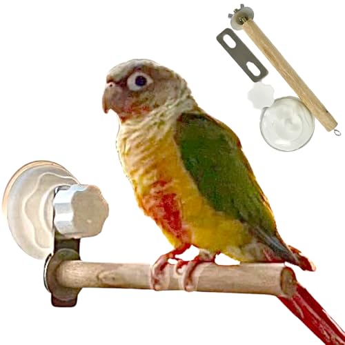 Vogelperch Stand mit Saugnapfbecher 6 Zoll Safe Naturholz Interaktive Vogelstange für Wellensittich, Sittich, Lovebird Vogelperch Stand mit Saugnapfbecher 6 Zoll Safe Naturholz Interaktive Vogelstange für Wellensittich, Sittich, Lovebird von Hbbgdiy