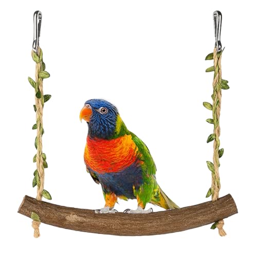 Wellensittich Spielzeug, Vogelspielzeug Für Wellensittiche, Wellensittich Schaukel, Vogelkäfig Zubehör, Nymphensittich Spielzeug, Vogel Zubehör Für Spiel Und Bewegung Wellensittich Spielzeug, Vogelspielzeug Für Wellensittiche, Wellensittich Schaukel, Vogelkäfig Zubehör, Nymphensittich Spielzeug, Vogel Zubehör Für Spiel Und Bewegung von HcvGcm