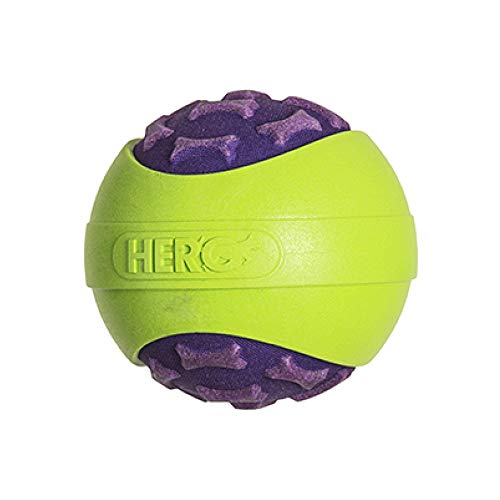 Caitec Corp Hero Hundespielzeug, schwimmt und quietscht, Small 3", violett von HeRo24