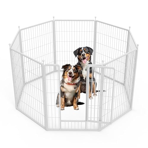 HealSmart Hunde-Laufstall, 101,6 cm, 8 Paneele, robustes Metall, tragbar, für drinnen und draußen, für Camping, Hof, Wohnmobil, Gartenzaun, Privatsphäre, Terrasse, Weiß HealSmart Hunde-Laufstall, 101,6 cm, 8 Paneele, robustes Metall, tragbar, für drinnen und draußen, für Camping, Hof, Wohnmobil, Gartenzaun, Privatsphäre, Terrasse, Weiß von HealSmart