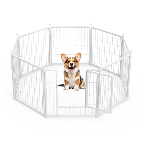 HealSmart Hunde-Laufstall, 61 cm, 8 Paneele, robustes Metall, tragbar, für drinnen und draußen, für Camping, Hof, Wohnmobil, Gartenzaun, Privatsphäre, Terrasse, Weiß HealSmart Hunde-Laufstall, 61 cm, 8 Paneele, robustes Metall, tragbar, für drinnen und draußen, für Camping, Hof, Wohnmobil, Gartenzaun, Privatsphäre, Terrasse, Weiß von HealSmart