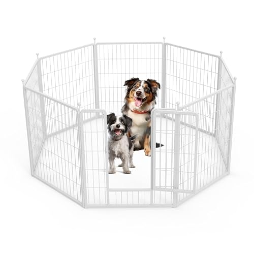 HealSmart Hunde-Laufstall, 81,3 cm, 8 Paneele, Robustes Metall, tragbar, für drinnen und draußen, für Camping, Hof, Wohnmobil, Gartenzaun, Privatsphäre, Terrasse, Weiß HealSmart Hunde-Laufstall, 81,3 cm, 8 Paneele, Robustes Metall, tragbar, für drinnen und draußen, für Camping, Hof, Wohnmobil, Gartenzaun, Privatsphäre, Terrasse, Weiß von HealSmart