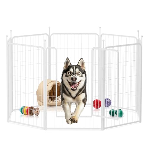 Hunde-Laufstall, 101,6 cm, 8 Paneele, robustes Metall, Haustier-Laufstall für drinnen und draußen, für Camping, Hof, Wohnmobil, Gartenzaun, Privatsphäre, Terrasse, Weiß Hunde-Laufstall, 101,6 cm, 8 Paneele, robustes Metall, Haustier-Laufstall für drinnen und draußen, für Camping, Hof, Wohnmobil, Gartenzaun, Privatsphäre, Terrasse, Weiß von HealSmart