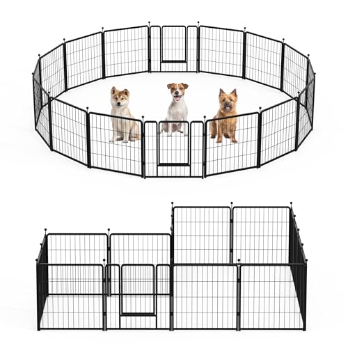 Hunde-Laufstall, 61 cm, 16 Paneele, idealer Hundezaun für Welpen/kleine Hunde, Indoor & Outdoor Bliss, perfekter Hundegehege für Camping, Hof, Wohnmobil, Gartenzaun, Schwarz Hunde-Laufstall, 61 cm, 16 Paneele, idealer Hundezaun für Welpen/kleine Hunde, Indoor & Outdoor Bliss, perfekter Hundegehege für Camping, Hof, Wohnmobil, Gartenzaun, Schwarz von HealSmart