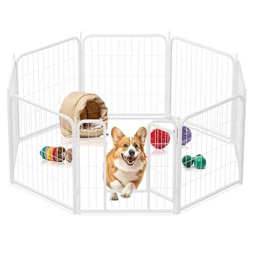 Hunde-Laufstall, 61 cm, 8 Paneele, robustes Metall, Haustier-Laufstall für drinnen und draußen, für Camping, Hof, Wohnmobil, Gartenzaun, Privatsphäre, Terrasse, Weiß Hunde-Laufstall, 61 cm, 8 Paneele, robustes Metall, Haustier-Laufstall für drinnen und draußen, für Camping, Hof, Wohnmobil, Gartenzaun, Privatsphäre, Terrasse, Weiß von HealSmart